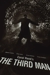 Best Film Noir Movies: 25 Classic & Neo-Noir Films To Watch 9 The Third Man (1949) film noir poster set in post-war Vienna